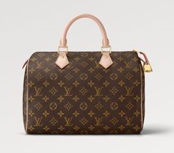 louis-vuitton-speedy-fashion-bag-handbag.jpg