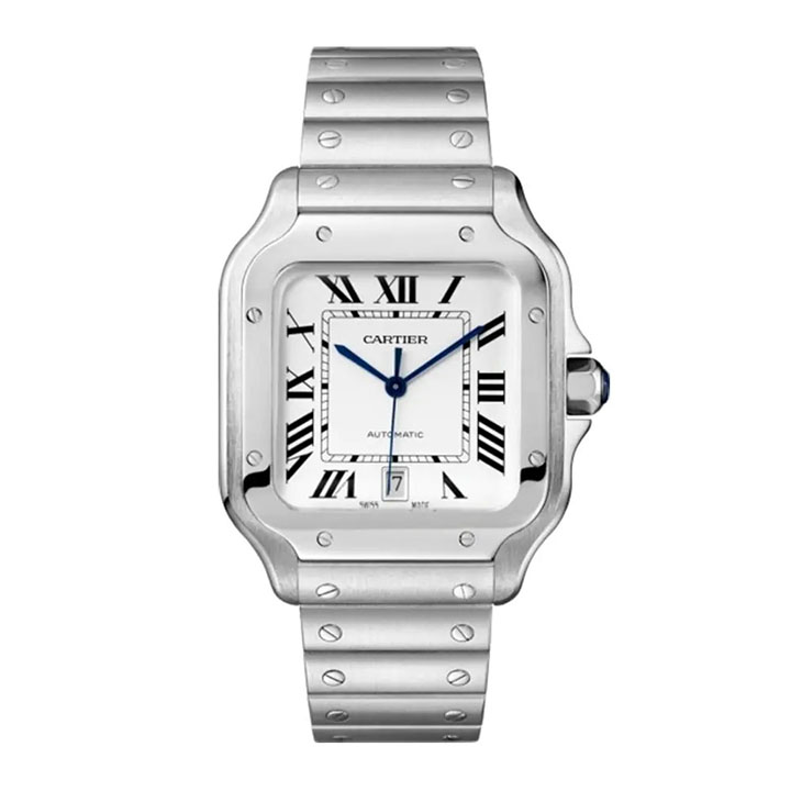 cartier-wssa0018.jpg.jpg