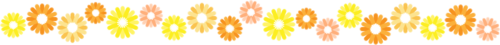 line-gerbera-orange.png