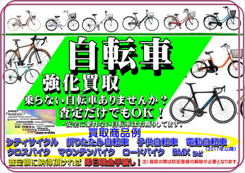 強化自転車.JPG