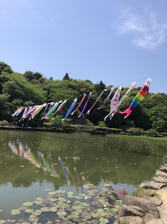 koinobori.jpg